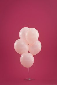 Bunch of five pale pink balloons floating on dark red background. happy birthday party celebration concept.