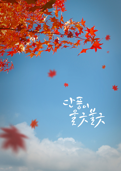 Autumn story1 (러블리하)