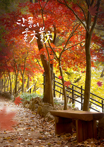 Autumn story7 (러블리하)