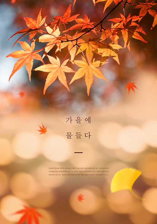 가을 감성 편집6(HYUN)