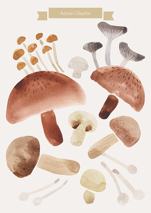 [일러스트레이션]가을수채화-버섯