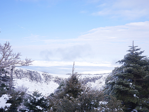 [사진] 한라산 겨울 풍경 09