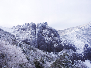 [사진] 한라산 겨울 풍경 11