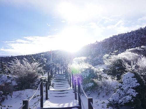[사진] 한라산 겨울 풍경 12