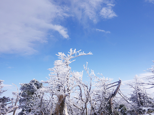 [사진] 한라산 겨울 풍경 14