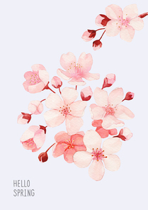 [일러스트] 봄꽃 수채화 09