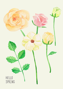 [일러스트] 봄꽃 수채화 11