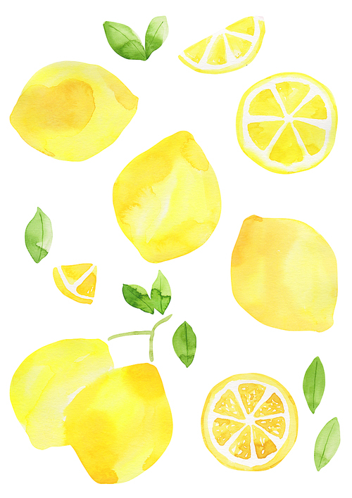 과일 수채화 - 레몬