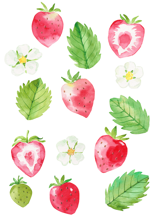과일 수채화 - 딸기