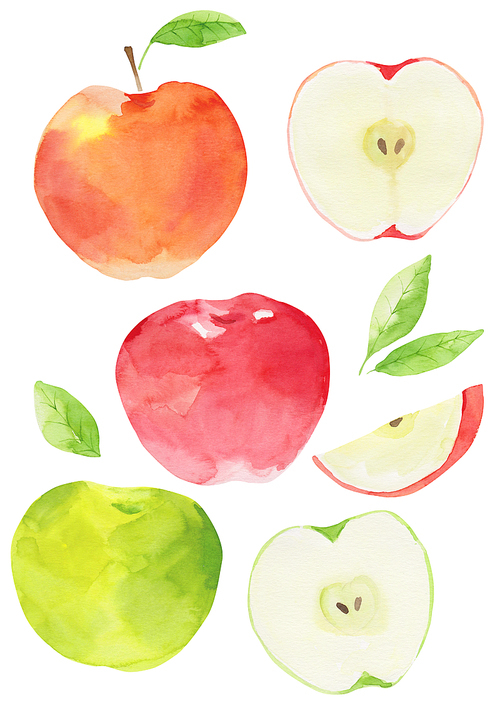 과일 수채화 - 사과