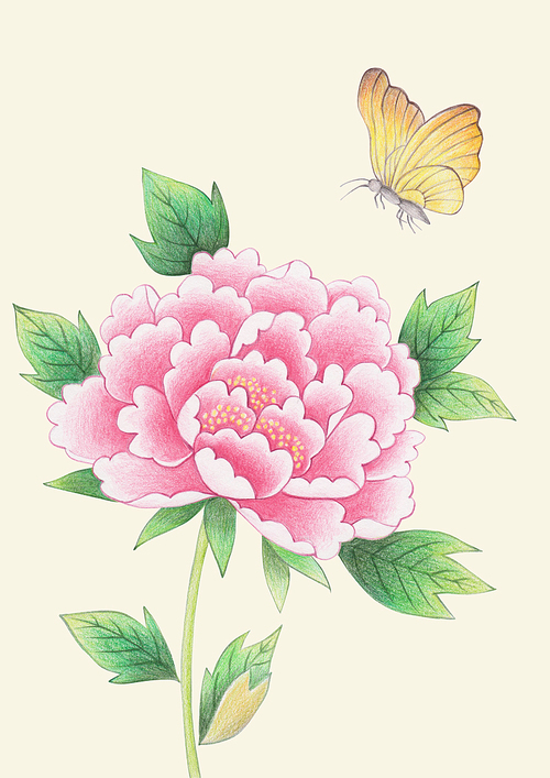 한국 전통 배경 - 모란꽃