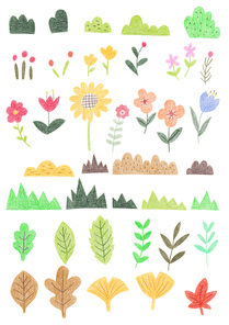 색연필 일러스트 - 다양한 식물