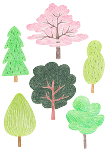 색연필 일러스트 - 나무
