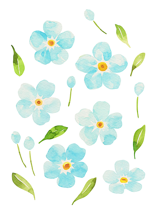 식물 수채화 - 하늘색 꽃 패턴