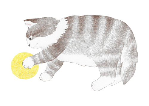 장모종 고양이 색연필 그림 02