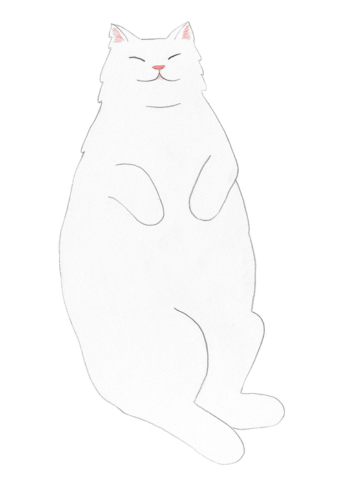 장모종 고양이 색연필 그림 06