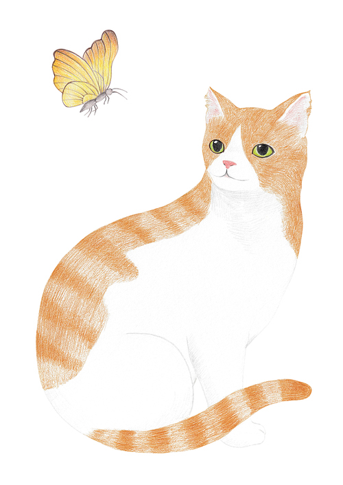 고양이와 나비 색연필 그림