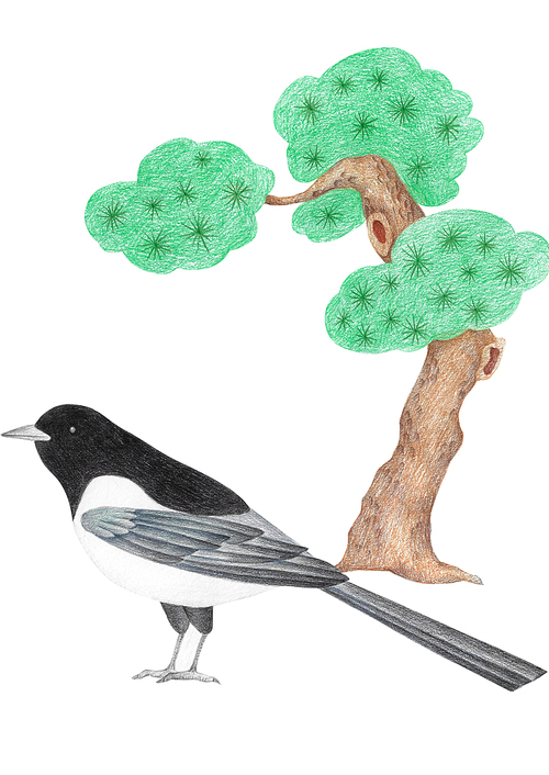 까치와 소나무 색연필 그림