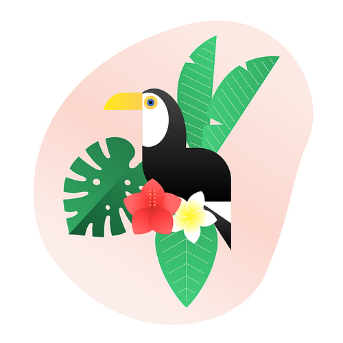 열대 동물 일러스트 - 왕부리새