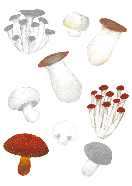 오일파스텔 일러스트 - 버섯