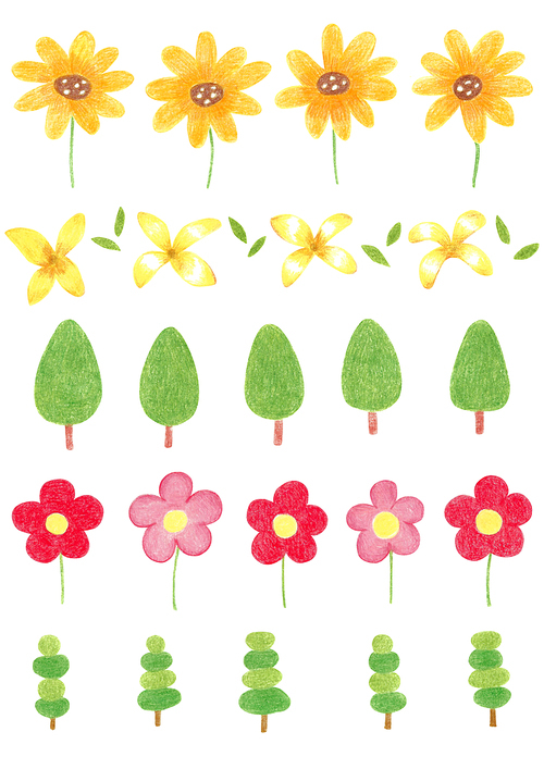 식물 색연필그림 05