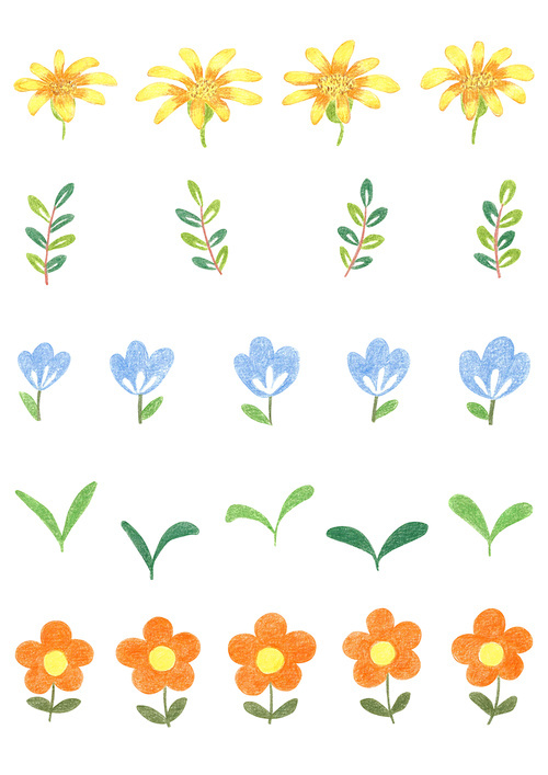 식물 색연필그림 04