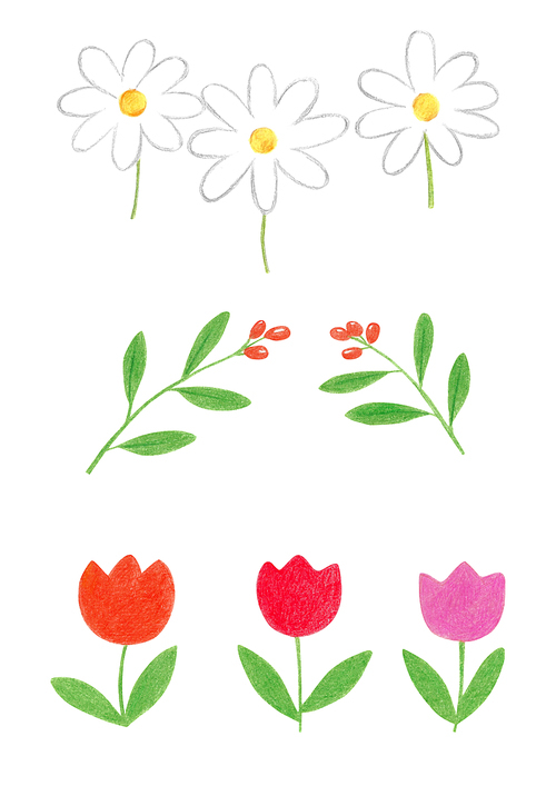식물 색연필그림 02