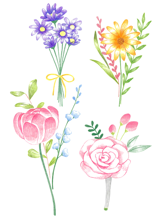 식물 색연필그림 01