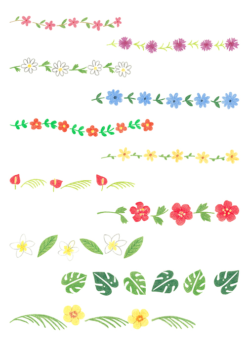 식물 색연필 그림 01