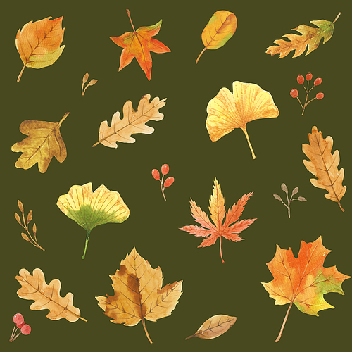 가을 식물 수채화 패턴 05