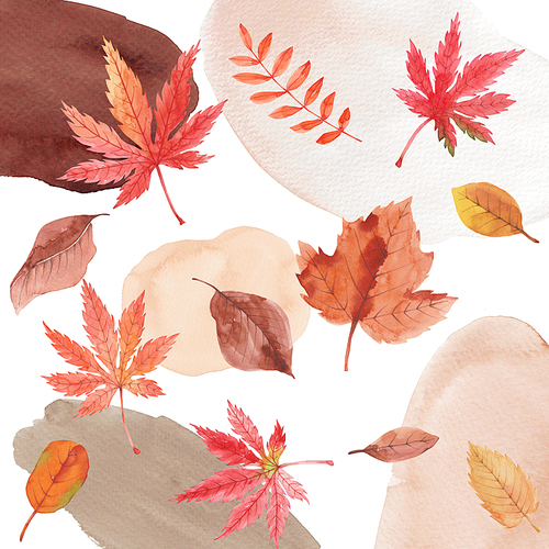 가을 식물 수채화 패턴 06