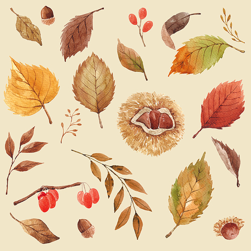 가을 식물 수채화 패턴 09