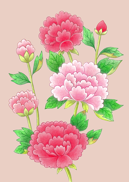 한국 전통 색연필 그림 - 모란꽃