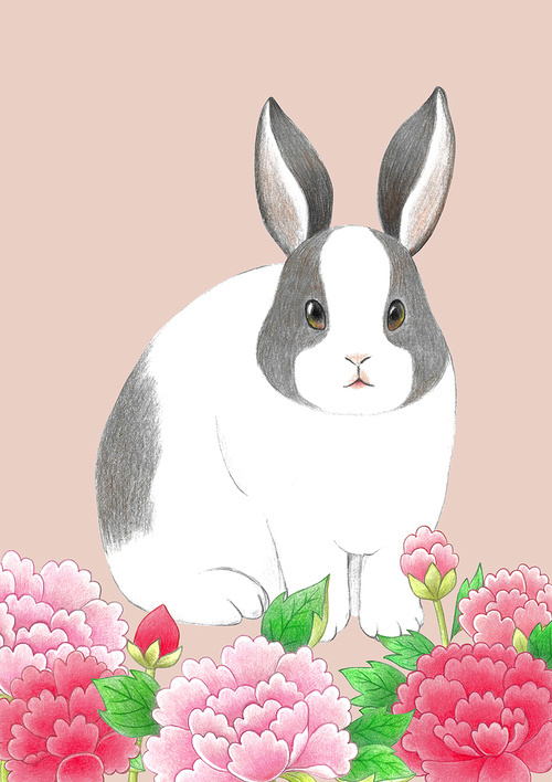 한국 전통 색연필 그림 - 토끼