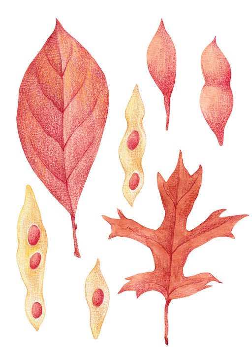 가을 색연필 그림 09