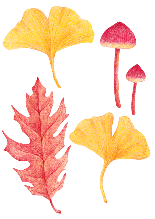 가을 색연필 그림 10