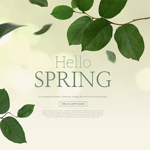 spring_008