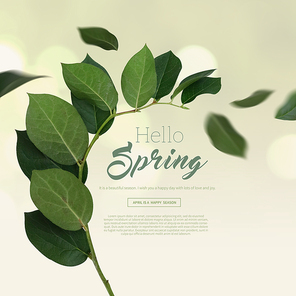 spring_009
