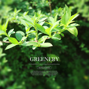 greenery_001