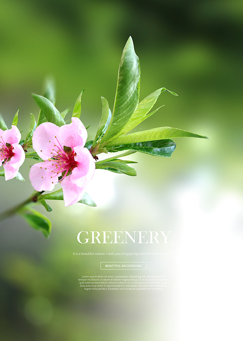 greenery_004