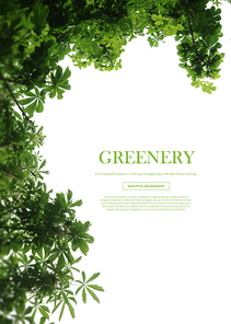 greenery_005