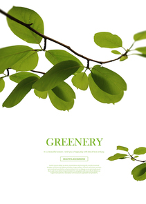 greenery_006