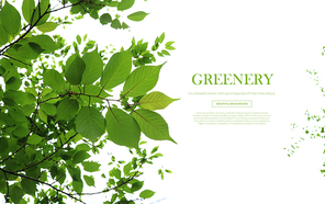 greenery_008