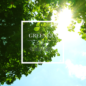 greenery_009