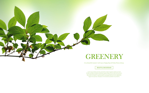 greenery_012