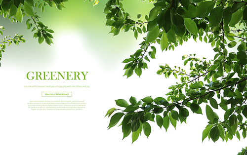 greenery_013