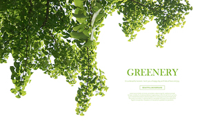 greenery_014
