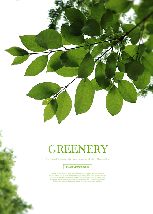 greenery_015