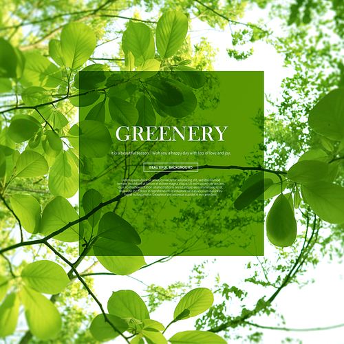 greenery_016