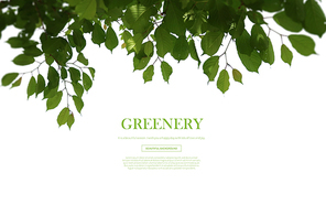 greenery_017